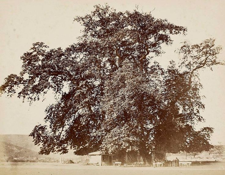 Çayırbaşı, Büyükdere, 1868