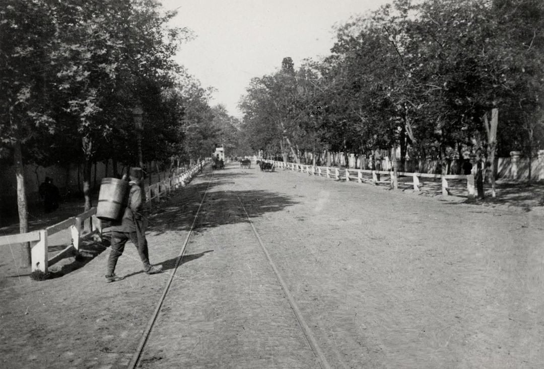 Istanbul, 1903

                     ...