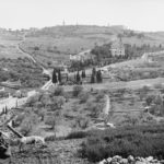 Jerusalem, Palestine, 1900s
Kudüs, Filistin, 1900'ler

                        ...