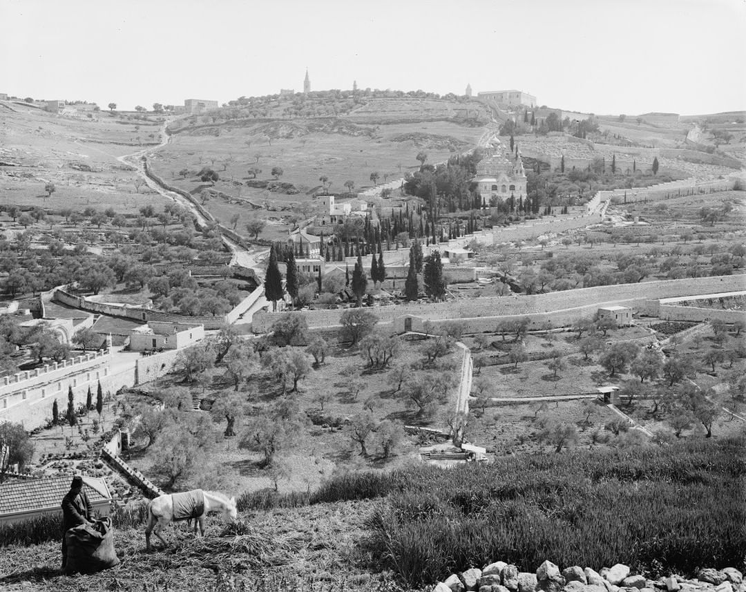 Jerusalem, Palestine, 1900s
Kudüs, Filistin, 1900'ler

                        ...