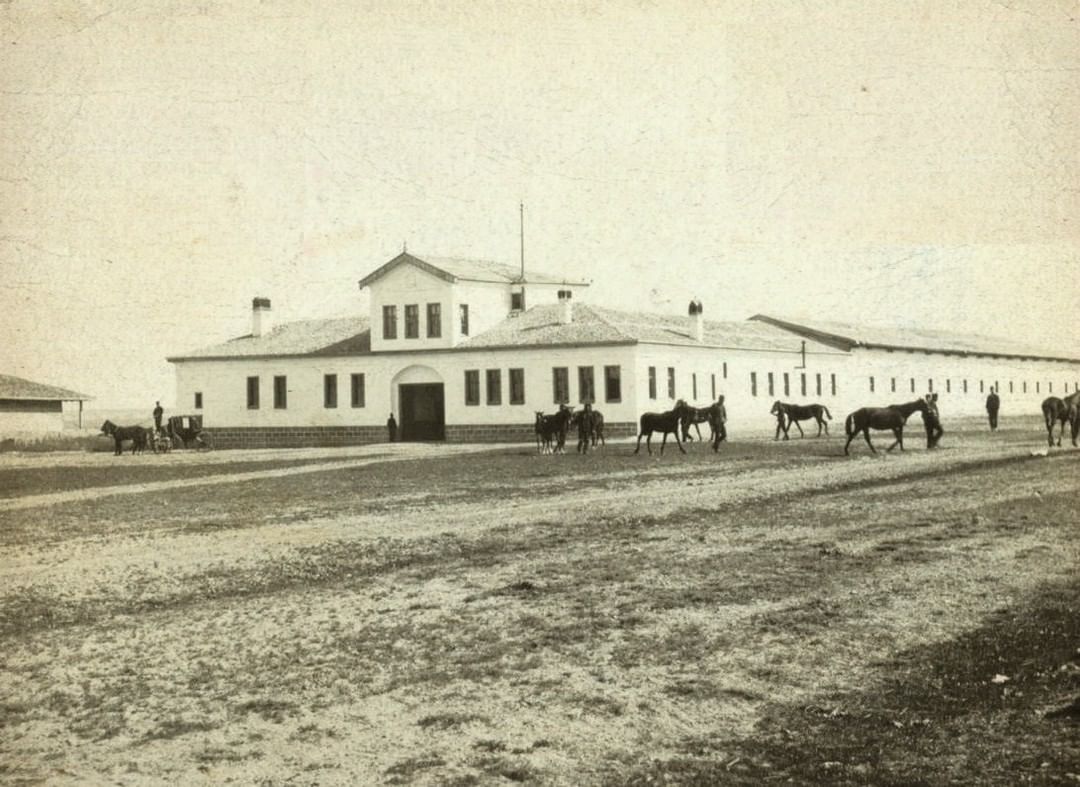 An Imperial Horse Farm, c1900
Bir Osmanlı At Çiftliği, 1900c

                  ...