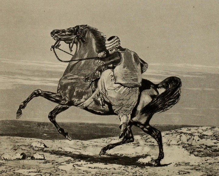 An Ottoman Horseman, 1873 
Bir Osmanlı Atlısı, 1873

                    ...