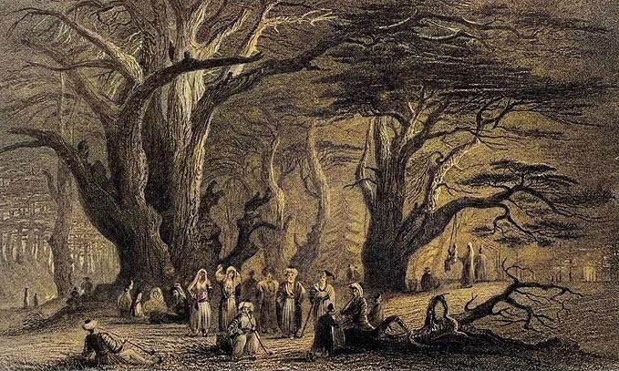 Ancient Cedars of Lebanon, 1836
Lübnan'ın Asırlık Sedir Ağaçları, 1836.
.
Love h...