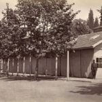 Barrack Hospital, Istanbul, 1877
Kışla Hastanesi, İstanbul, 1877

              ...