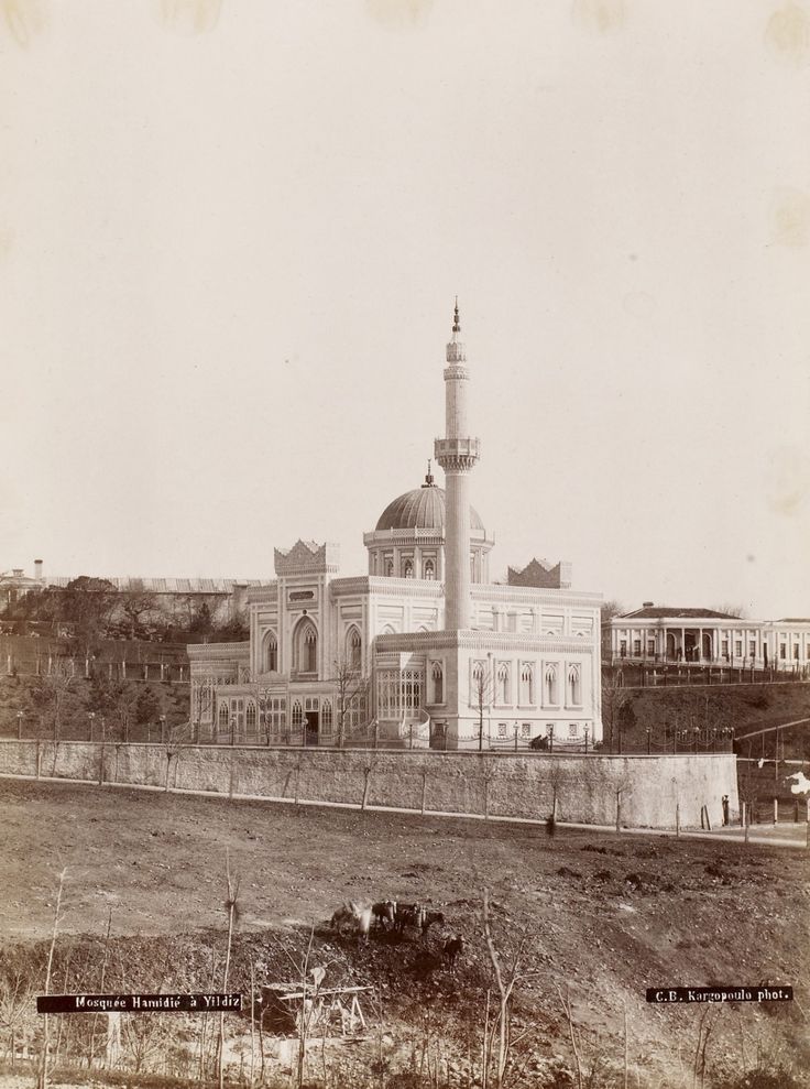 Hamidiye Camii Basile Kargopoulo Fotoğrafı 1875