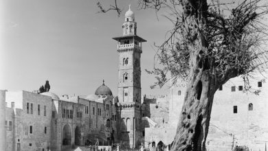 Jerusalem, Palestine, 1900s
Kudüs, Filistin, 1900'ler

                      ...