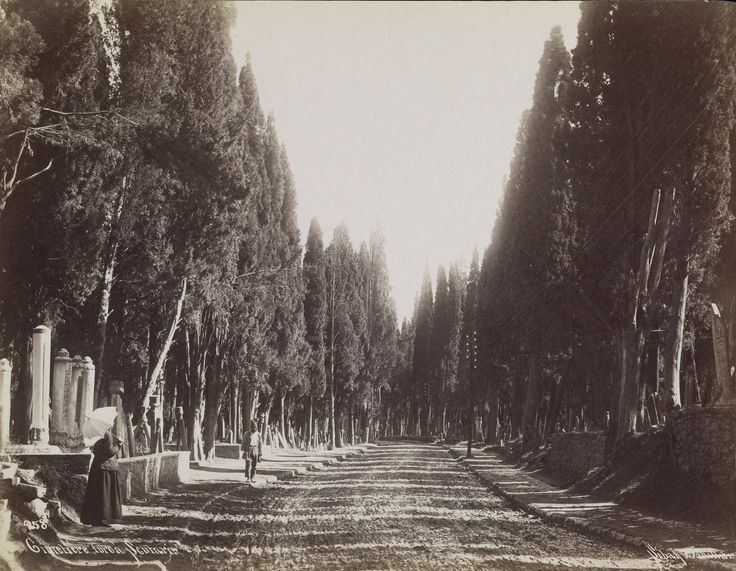 Karacaahmet Mezarlığı / Sébah ve Joaillier Fotoğrafı / 1890'lar | Eski...