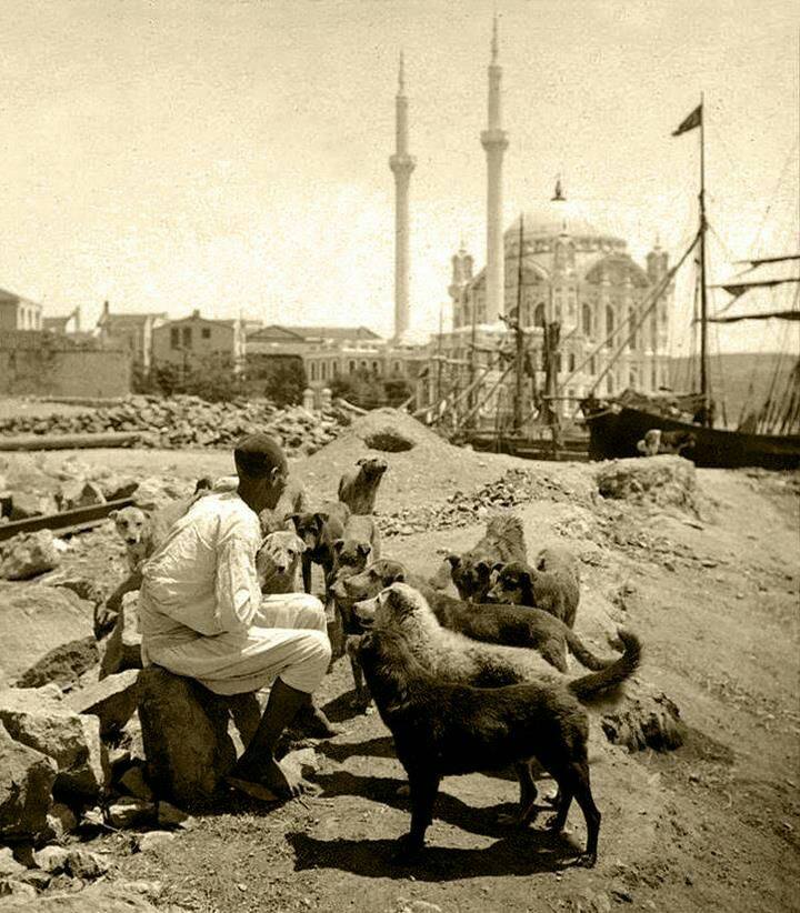 Ortaköy 1910