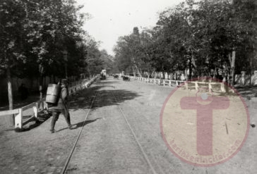 İstanbul'Da Ağaçlı Bir Yol Ve Atlı Tramvay