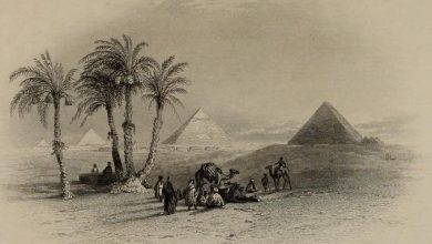 Pyramids, Cairo, Egypt, 1840s
Piramitler, Kahire, Mısır, 1840'lar.
.
Love histor...