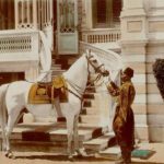 Sultan II. Abdülhamid'in en çok sevdiği atı, Ferhan, Istanbul, 1800'lerin sonlar...