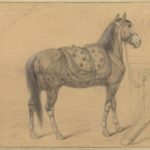 The Horse was Sent as a Gift from Istanbul to Napoleon Bonaparte, Emperor of Fra...