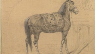 The Horse was Sent as a Gift from Istanbul to Napoleon Bonaparte, Emperor of Fra...