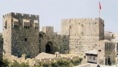 The Tower of David, Jerusalem, Palestine, 1900s
Davut Kulesi, Kudüs, Filistin, 1...