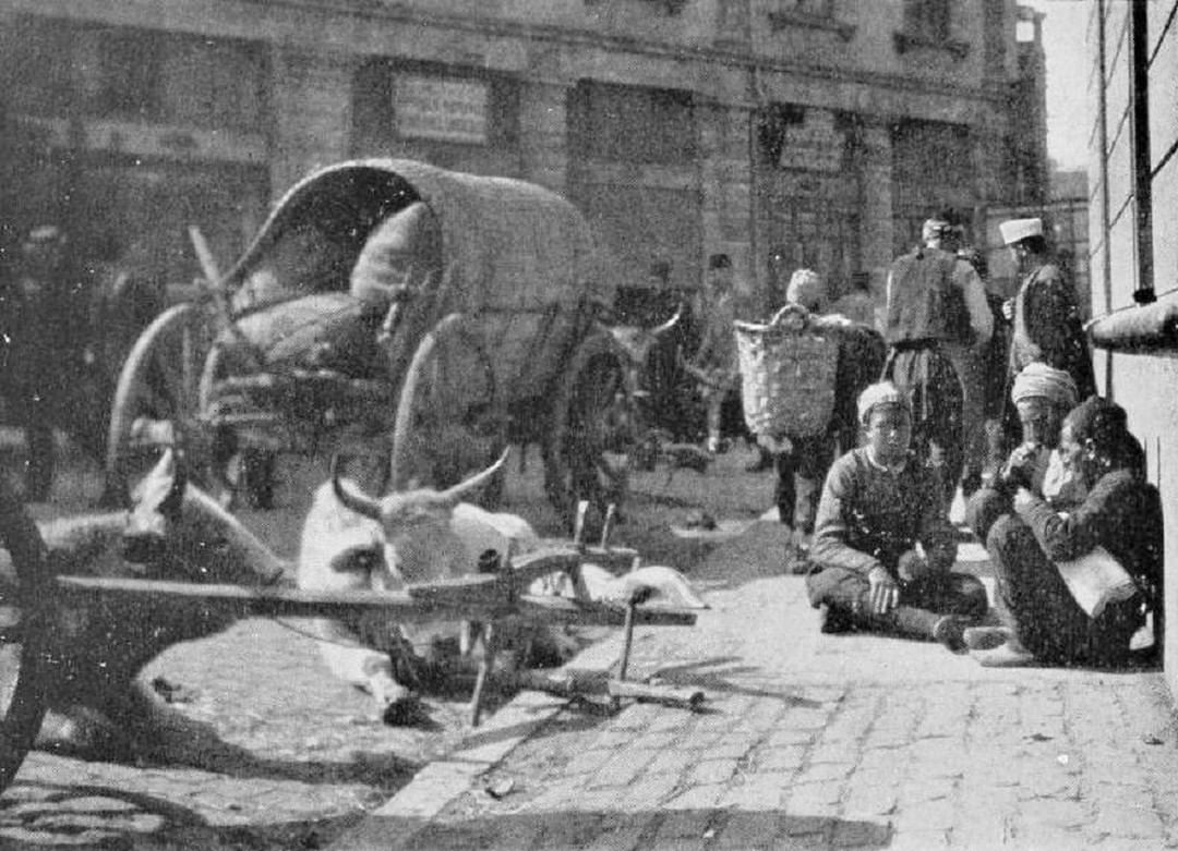 Villagers in Istanbul, 1914
İstanbul'da Köylüler, 1914

                   ...